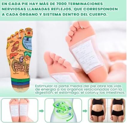 Parches Kinokis Detox para pies